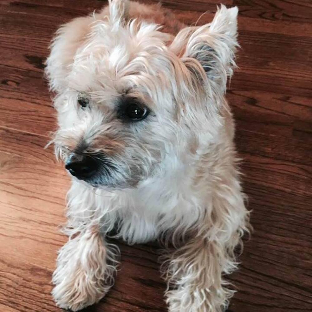 Meet your Posher, Jana